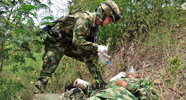 Certificado de Sanidad en Colombia 1